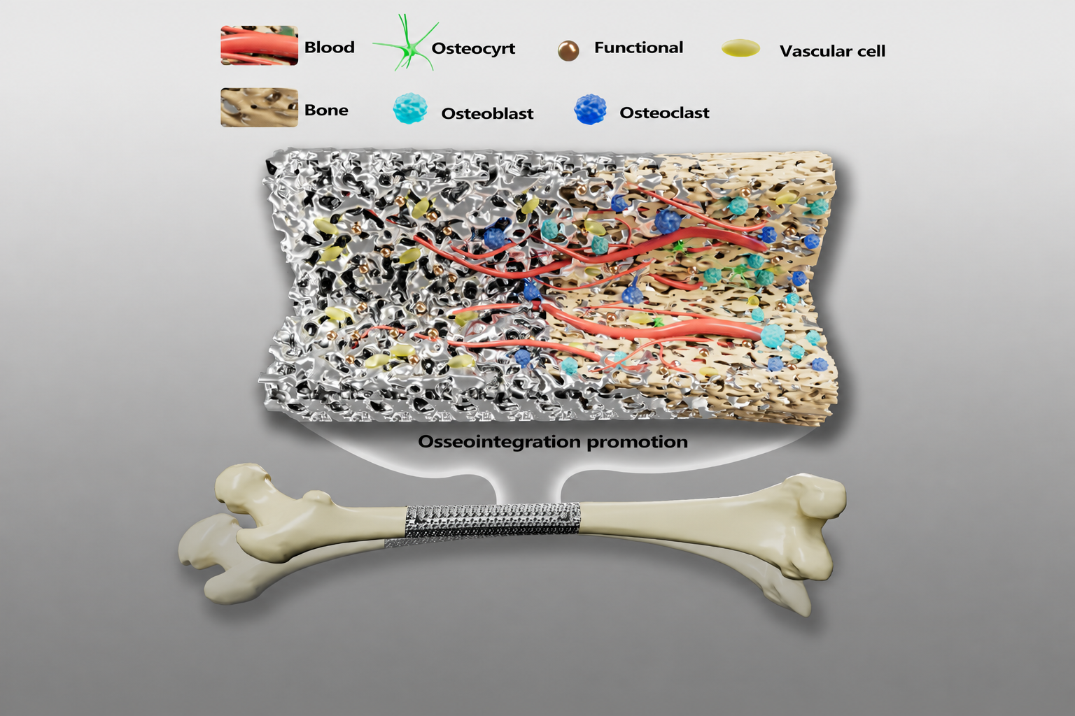 Biomedical Metallic Materials project cover