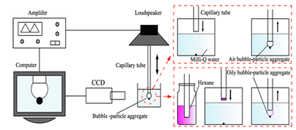Reference schematic of loudspeaker, capillary, CCD observation, and bubble-particle aggregate experiment