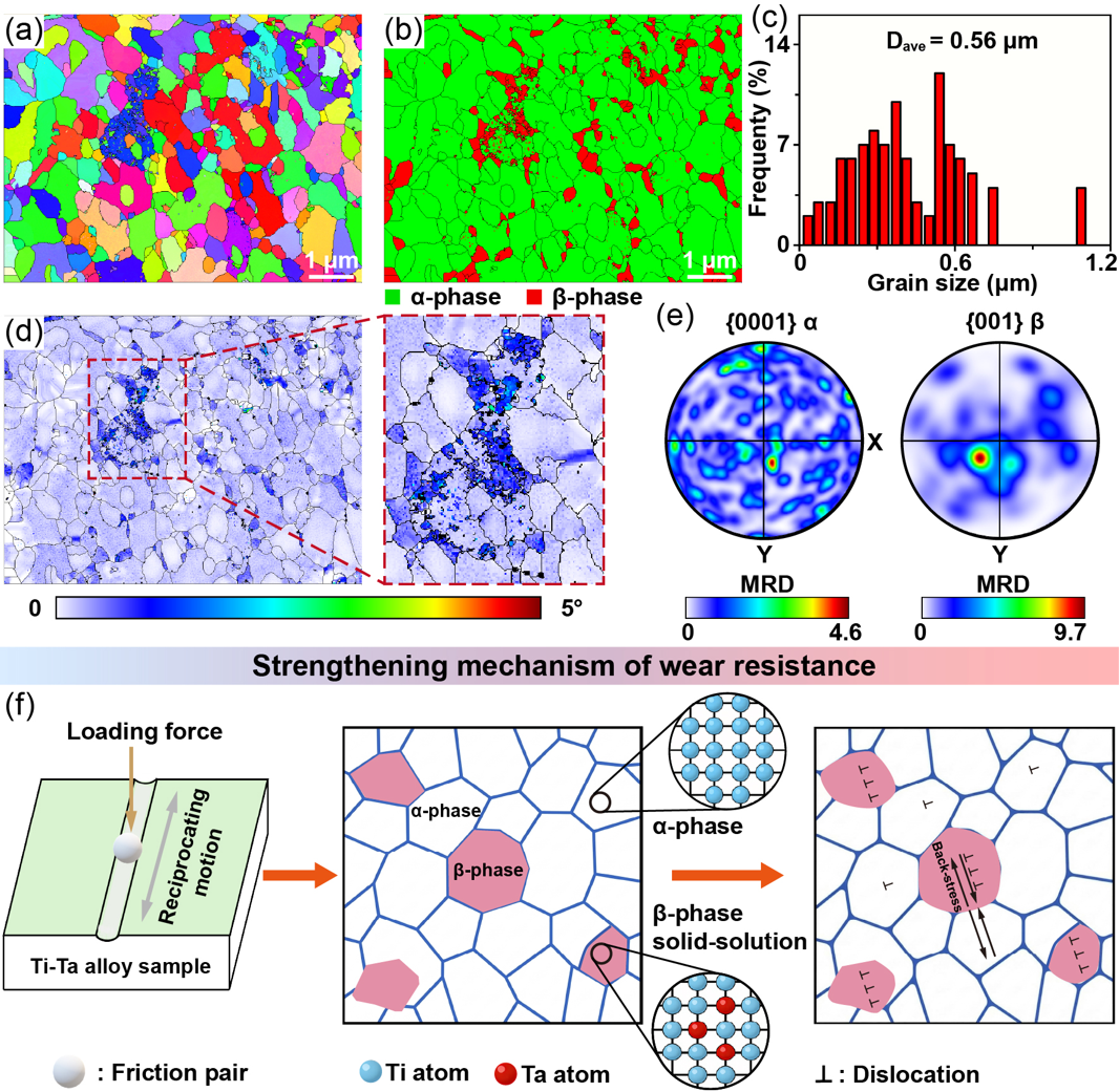 Strengthening mechanism of wear resistance in LPBF Ti-Ta alloys
